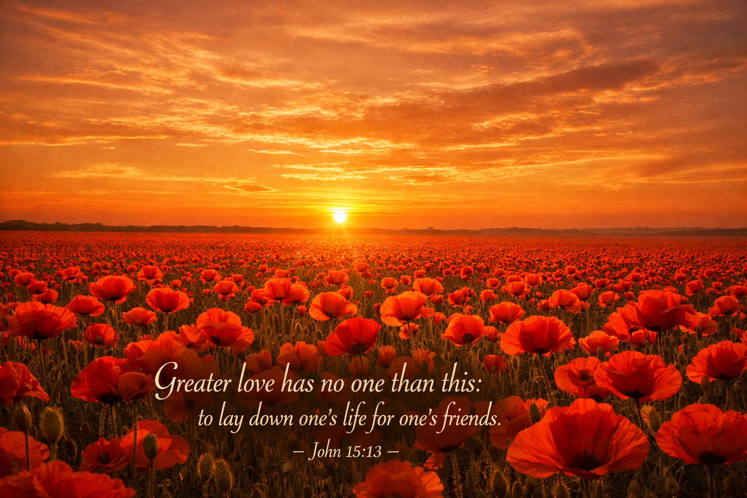 John 15:13 Bible verse wallpaper with red poppies field at golden sunset — Greater love has no one than this to lay down ones life for ones friends